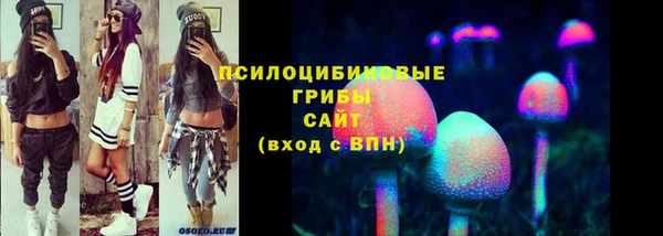 мет Карпинск