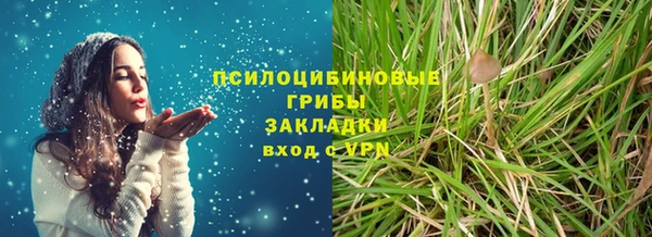 мет Карпинск