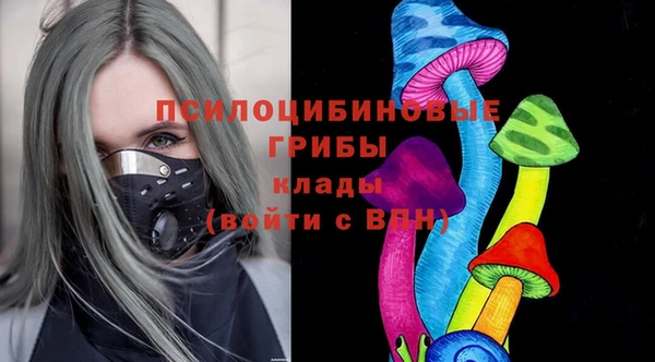 хмурый Фёдоровский