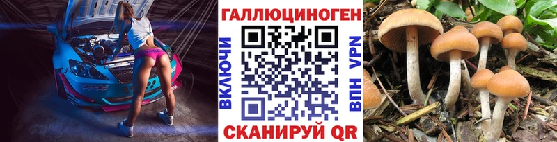 Галлюциногенные грибы Cubensis  Белорецк 