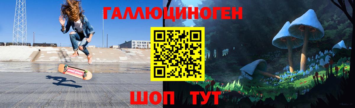 Псилоцибиновые грибы Psilocybe  Вход с VPN  Белорецк 