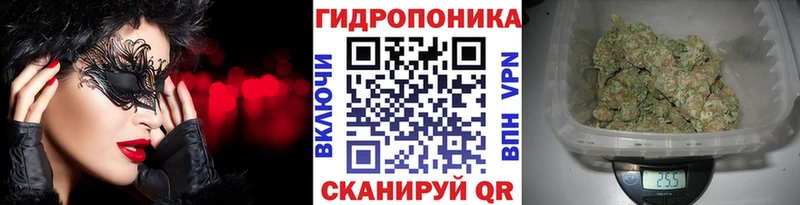 Бошки марихуана Amnesia  Белорецк 